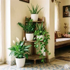 The Mindful Mom-Gardening as a Spiritual Discipline