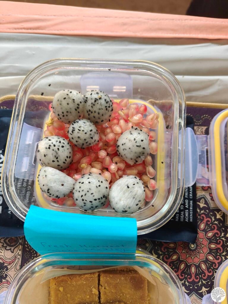 A refreshing Fresh Harvest Globe Medley featuring vibrant dragon fruit spheres and fresh kiwi slices tossed with pomegranate pearls and mint.